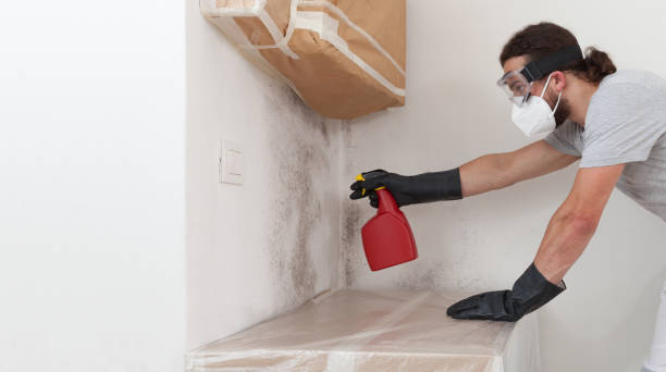 Professional Mold Remediation technician working in Alturas, FL